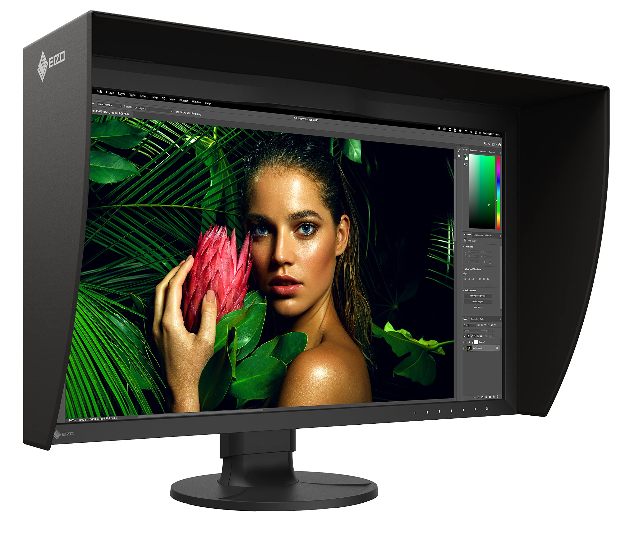 EIZO ColorEdge CG2700S-BK 27