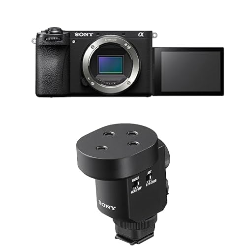 Bundle of Sony Alpha 6700, APS-C