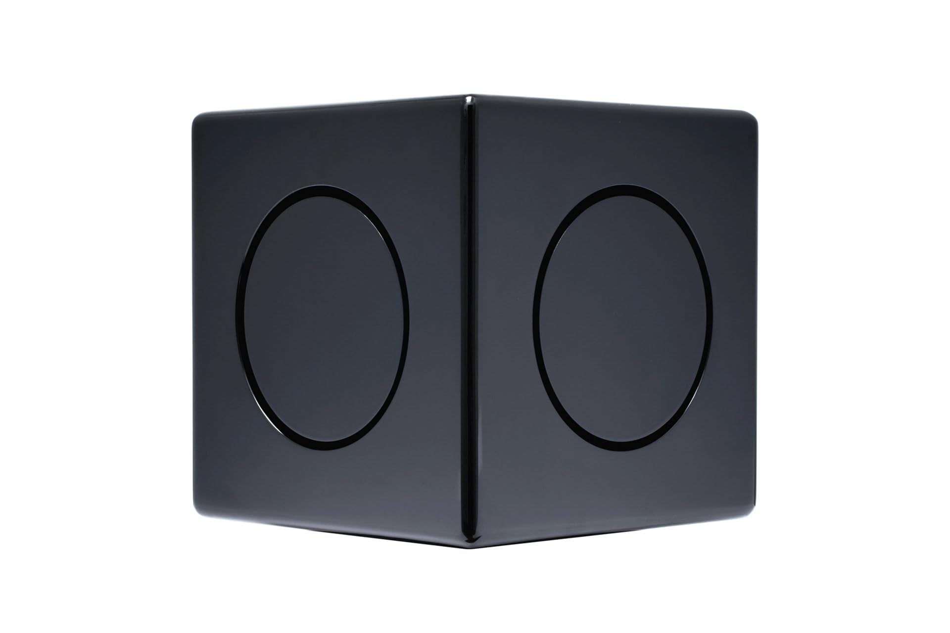 Earthquake Sound MiniMe DSP P63B Micro Powered
