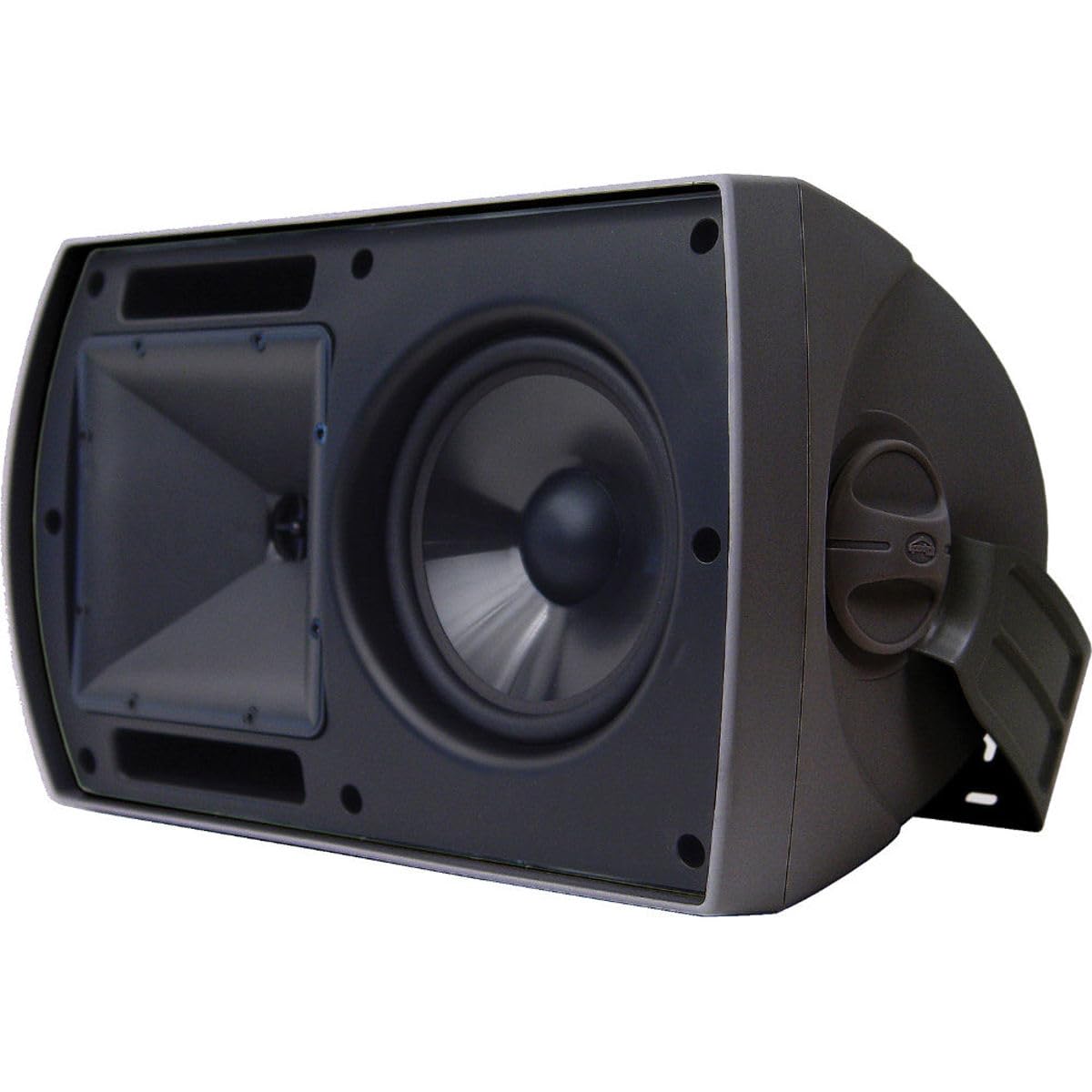 Klipsch AW-650 Indoor/Outdoor Speaker, Black