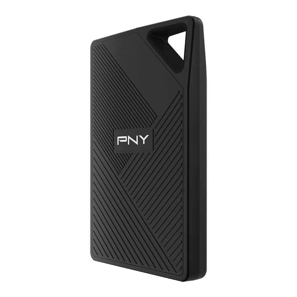 PNY RP60 USB 3.2 Gen 2x2 Type-C