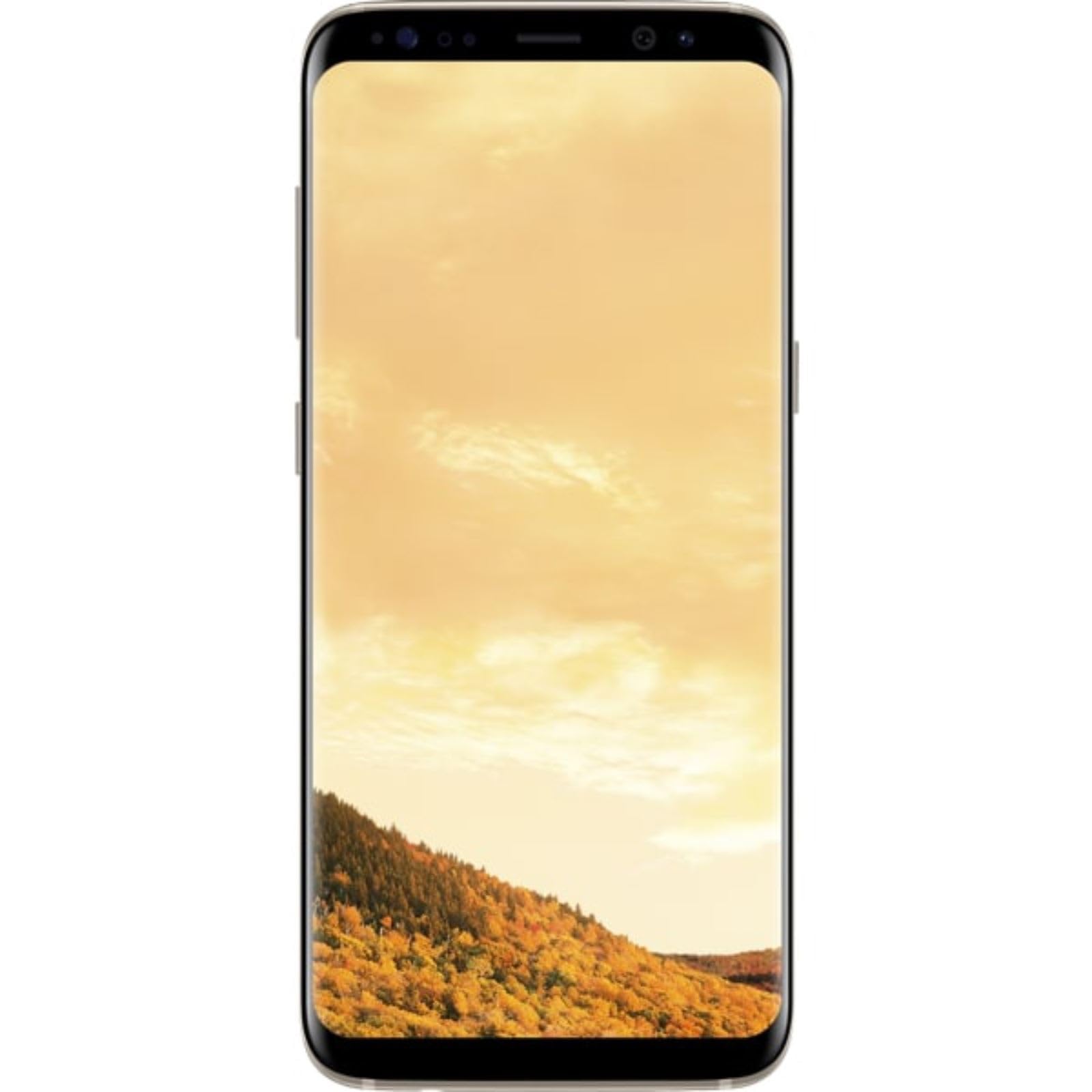 Samsung Galaxy S8 Unlocked Phone - International
