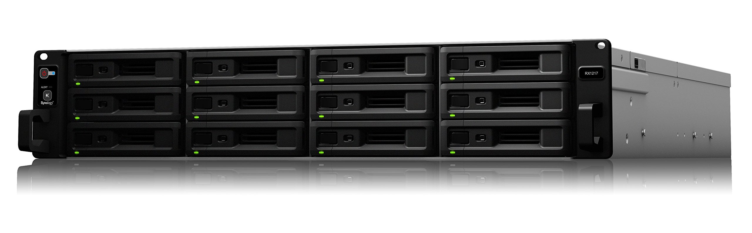 Synology RX1217 Expansion