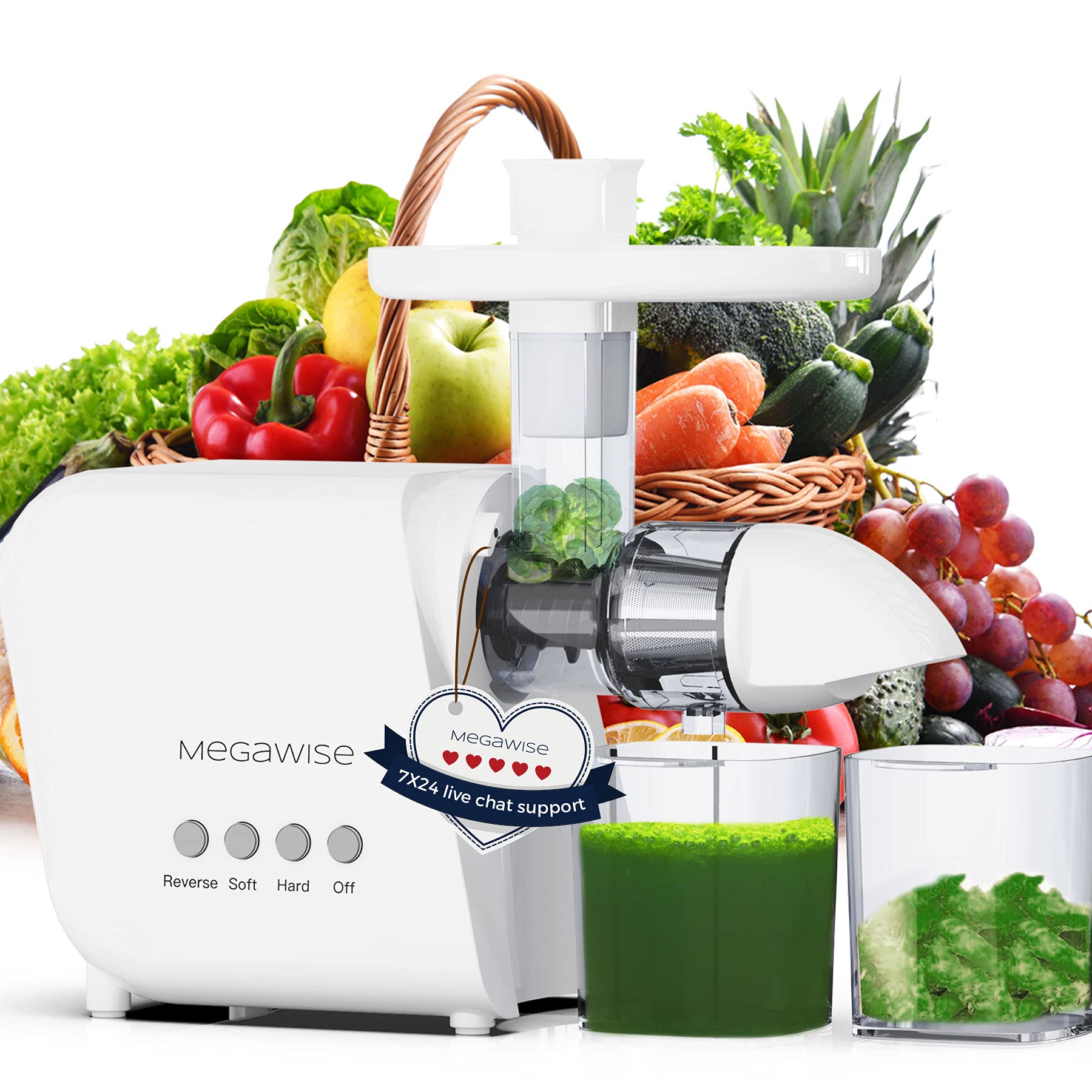 MegaWise Pro 2025 Updated Slow Masticating Juicer