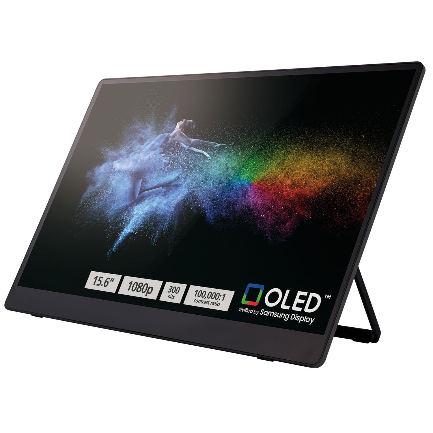 RICOH 150 Portable 15.6