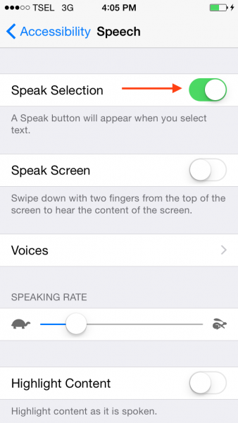 How to Activate Text to Speech on iPhone iOS 8