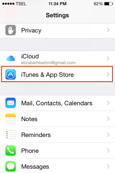 So deaktivieren Sie die App für automatische Updates auf iPhone / iPad und iTunes