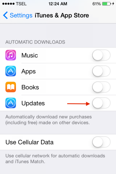 How to Disable Auto Updates app on iPhone/iPad and iTunes