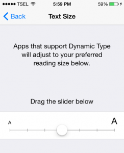 how to change font size in iOS 8 iPhone or iPad