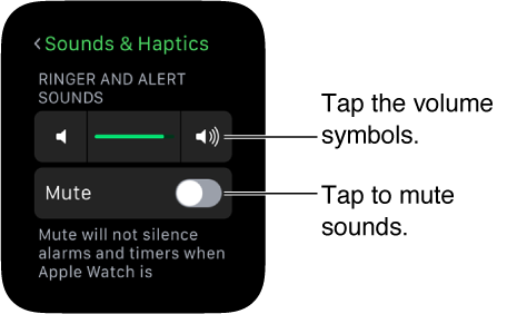 How to Mute or Adjust Sounds on Apple Watch