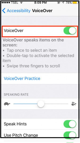 voice over iPhone