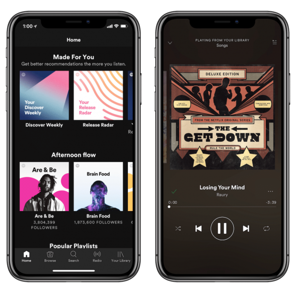 App Spotify per iPhone XS