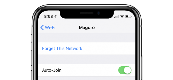 iPhone XS Forgot network