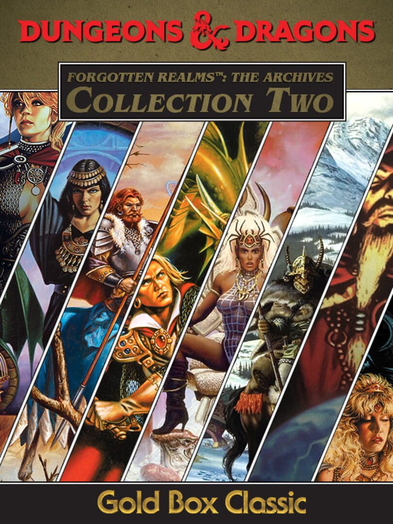 Forgotten Realms: The Archives - Collection Two Server Status: Is ...