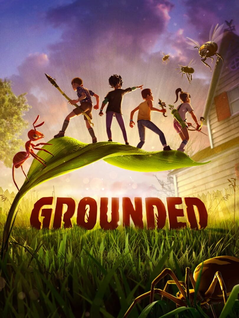 Grounded featured image