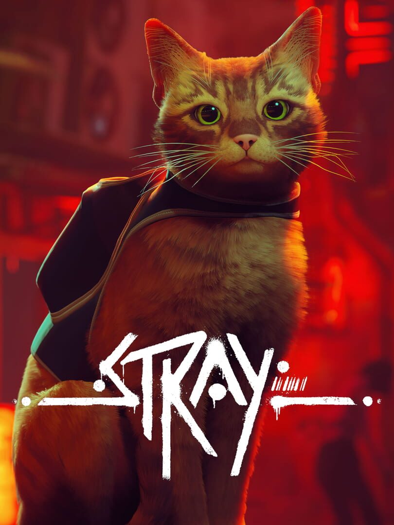 Stray featured image