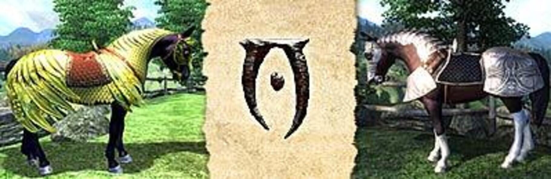 The Elder Scrolls IV Oblivion Horse Armor Pack Server Status Is The