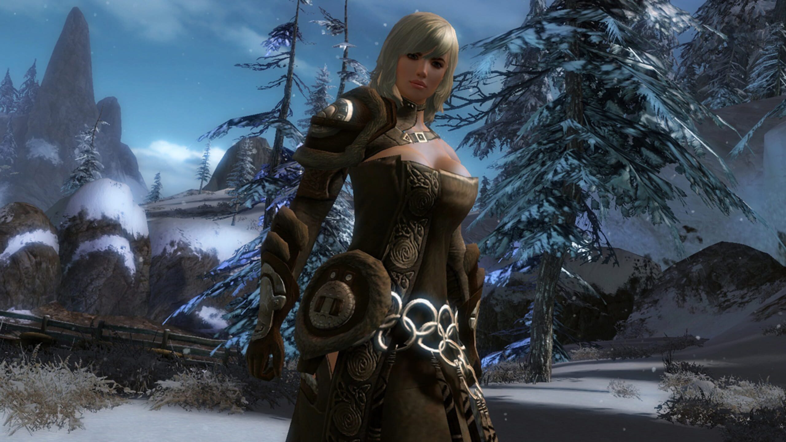 Guild Wars 2 Сколько Весит
