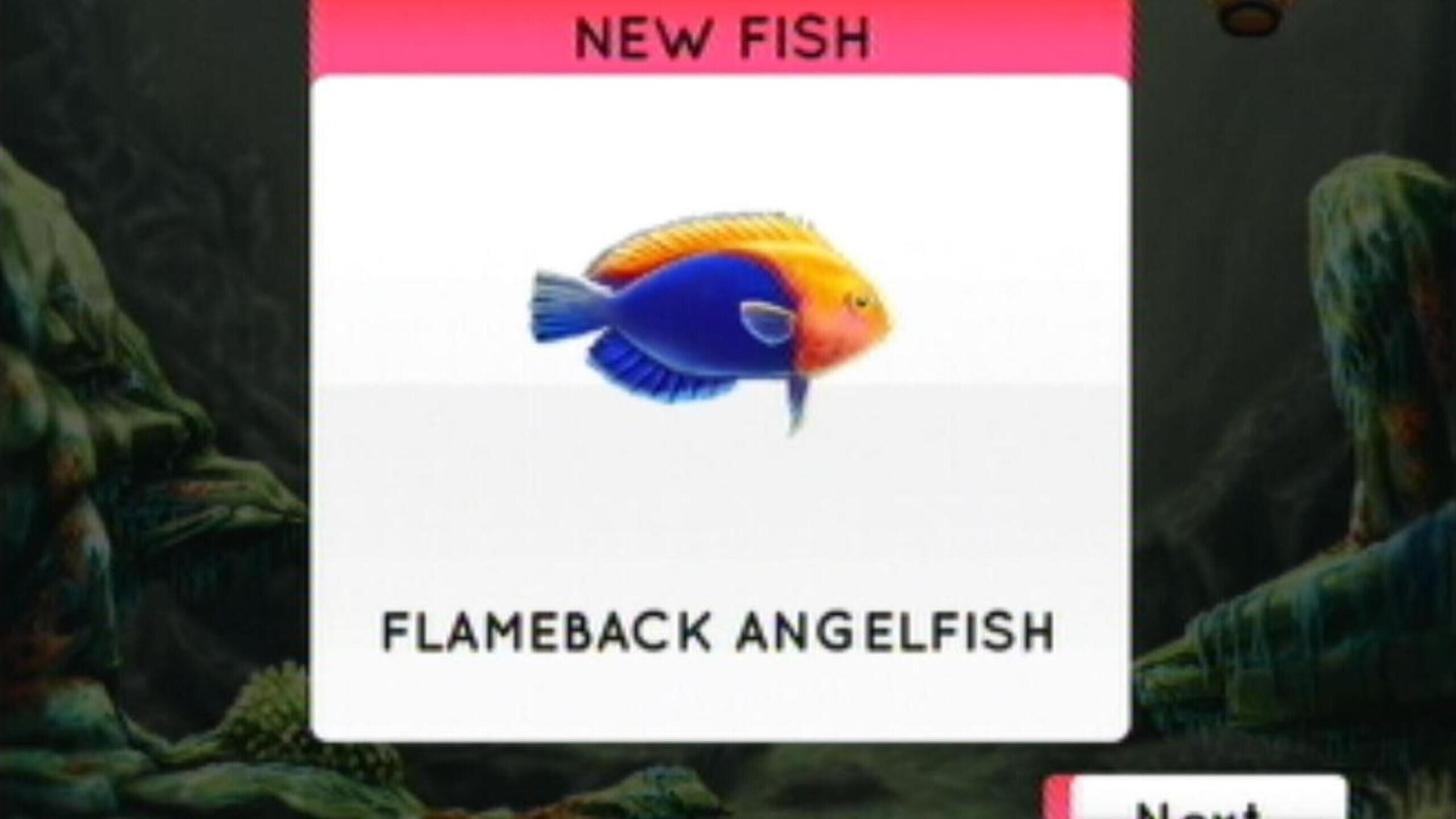 Planet Fish Server Status: Is Planet Fish Down Right Now? - Gamebezz
