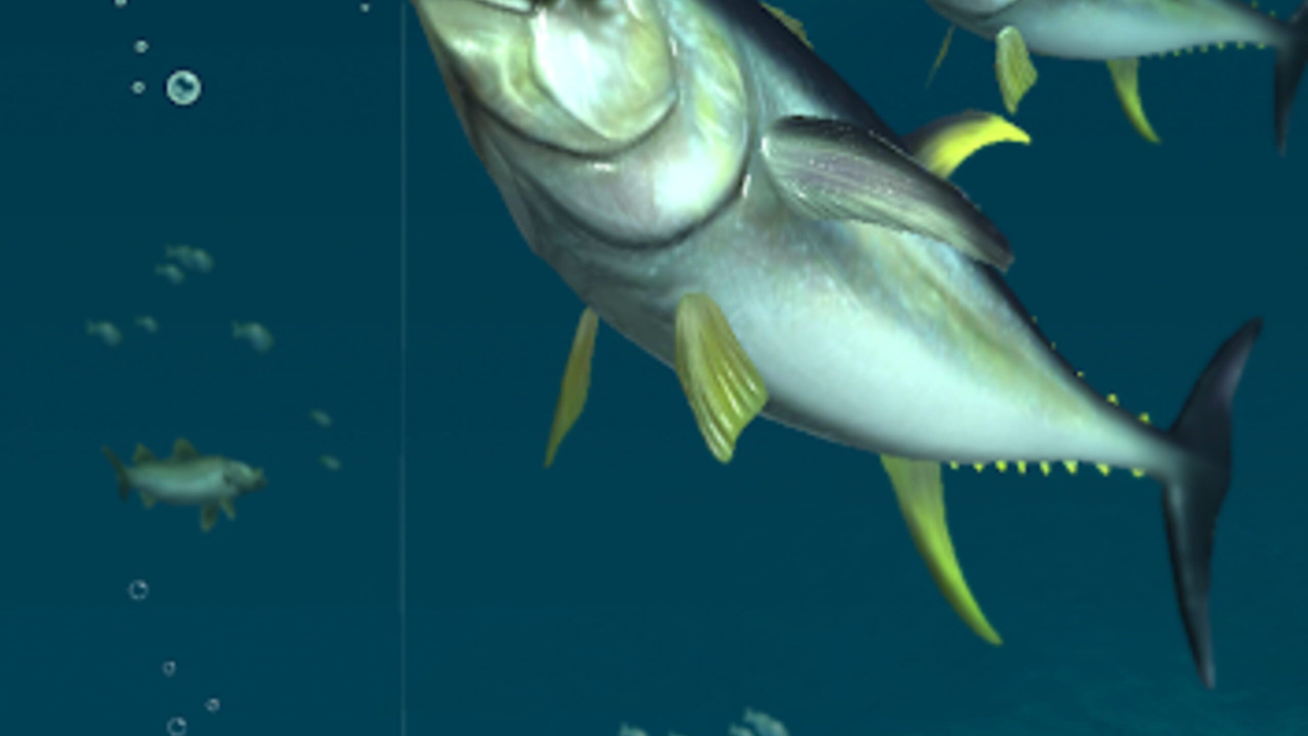 Rapala Fishing: Daily Catch Server Status: Is Rapala Fishing: Daily Catch  Down Right Now? - Gamebezz