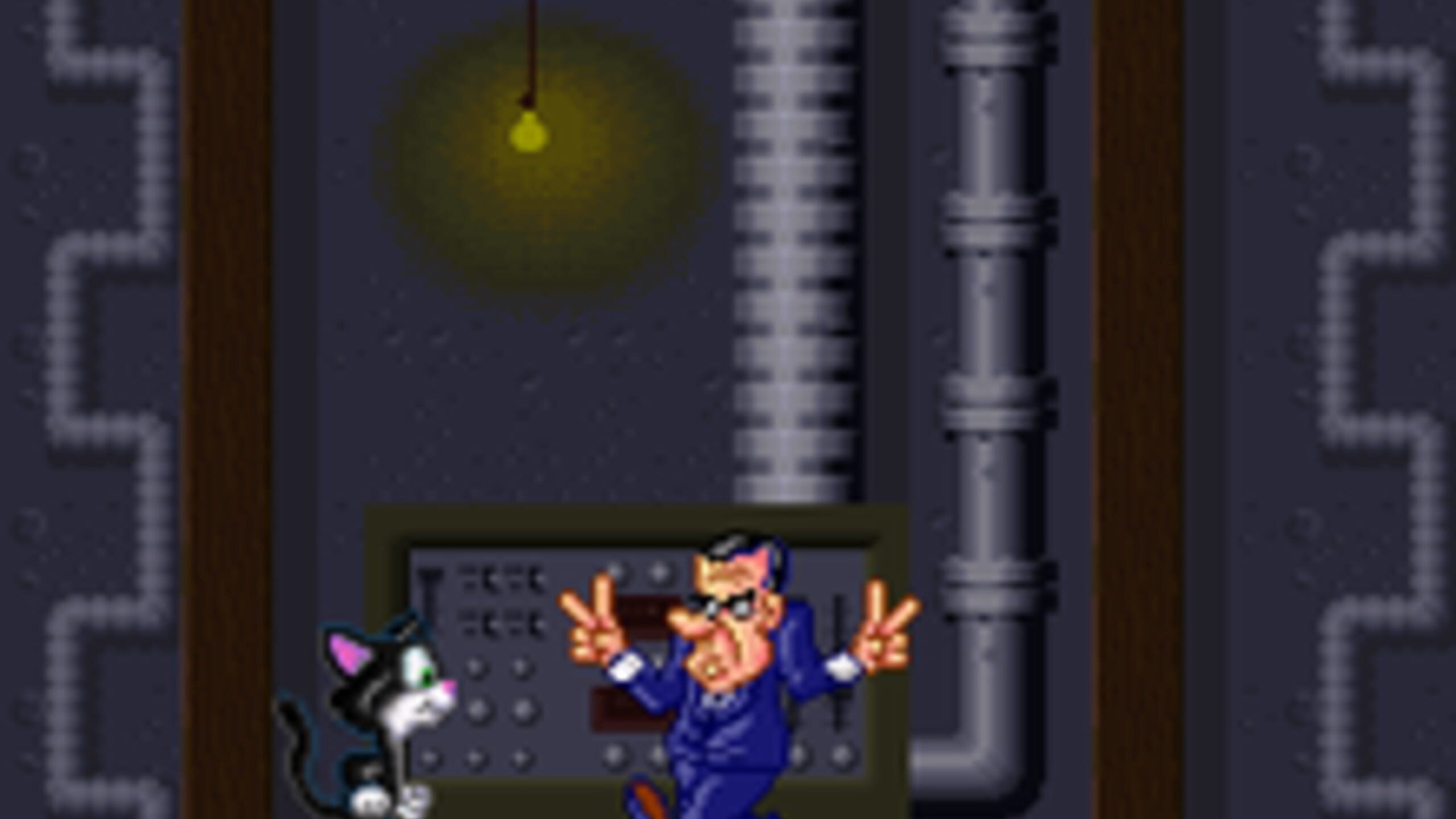 Socks The Cat Rocks The Hill Server Status Is Socks The Cat Rocks The