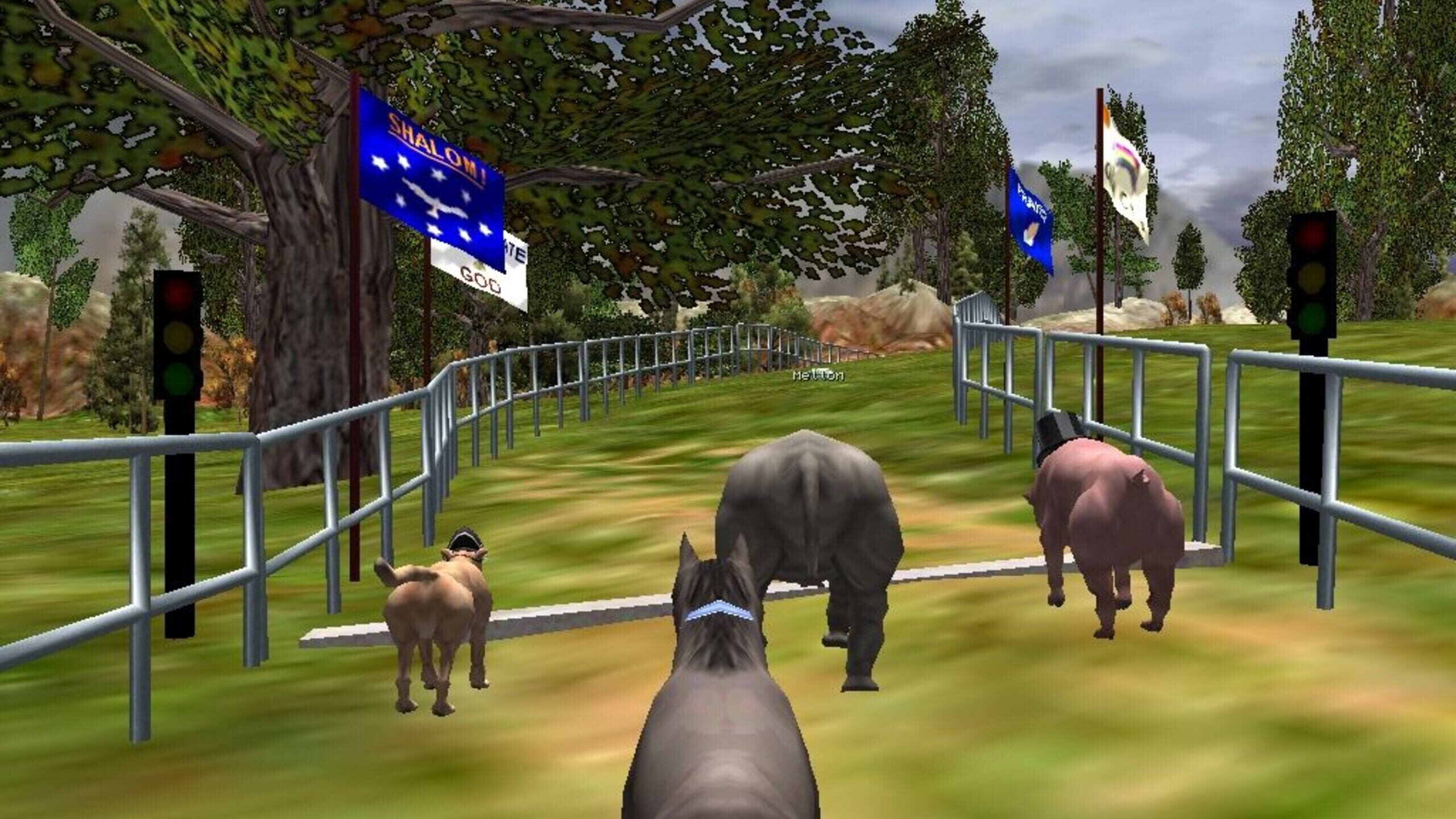 The Zoo Race Server Status Is The Zoo Race Down Right Now? Gamebezz
