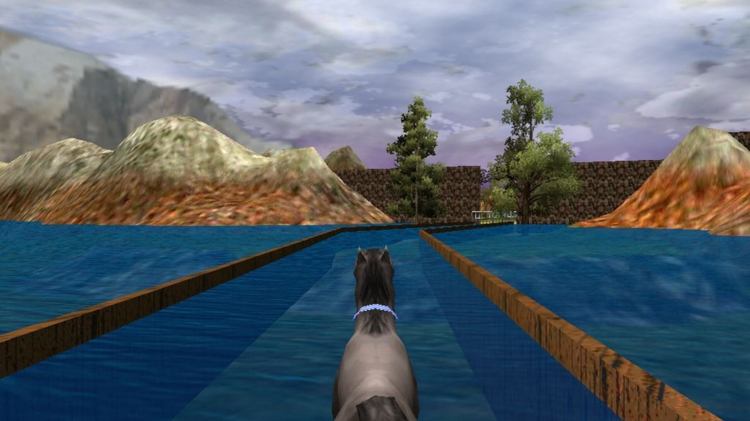 The Zoo Race Server Status Is The Zoo Race Down Right Now? Gamebezz