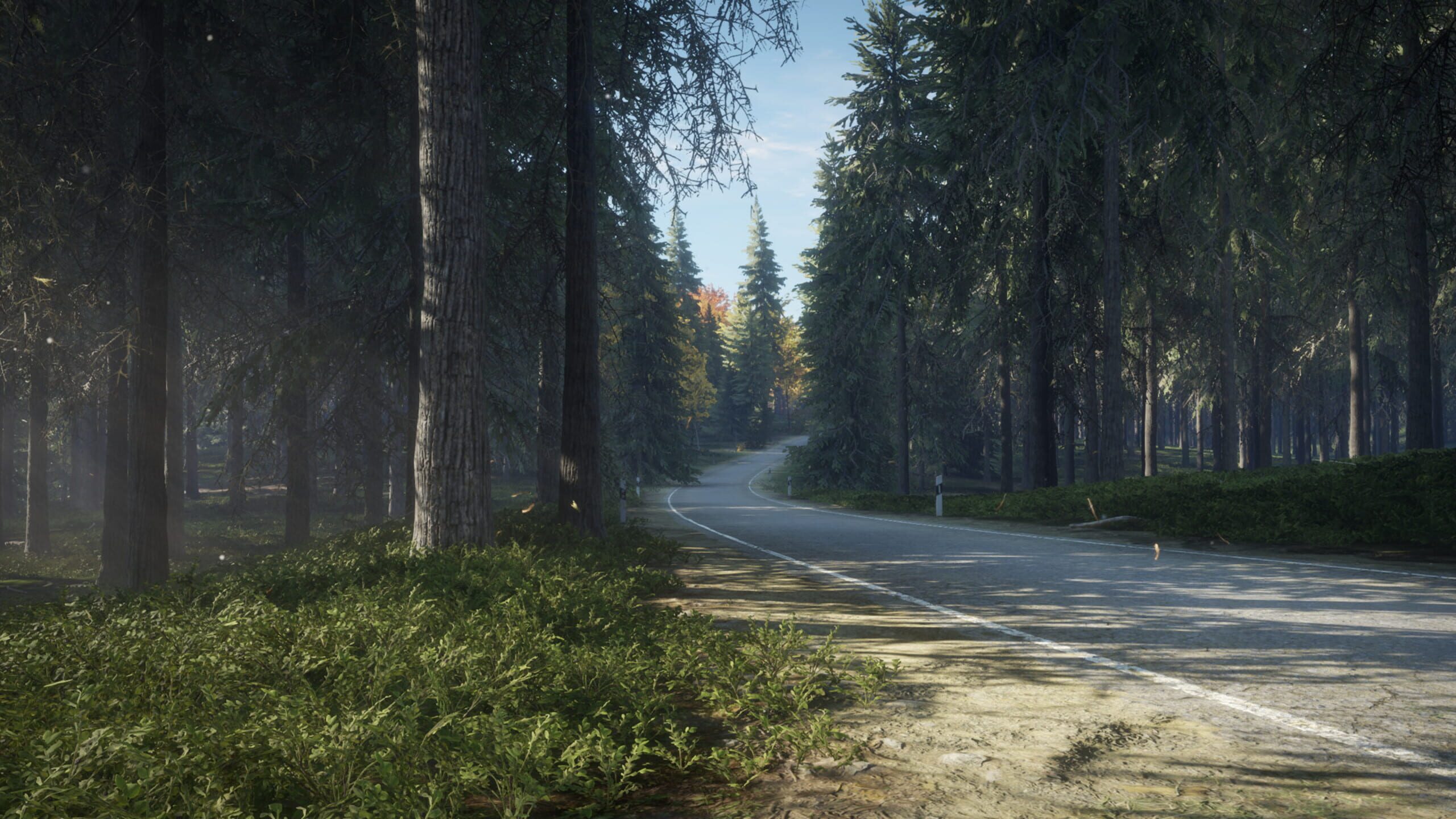 Thehunter: call of the wild. Thehunter call. Зе хантер оф зе вилд. Зе хантер оф зе вилд. Игра the hunter call of the wild.