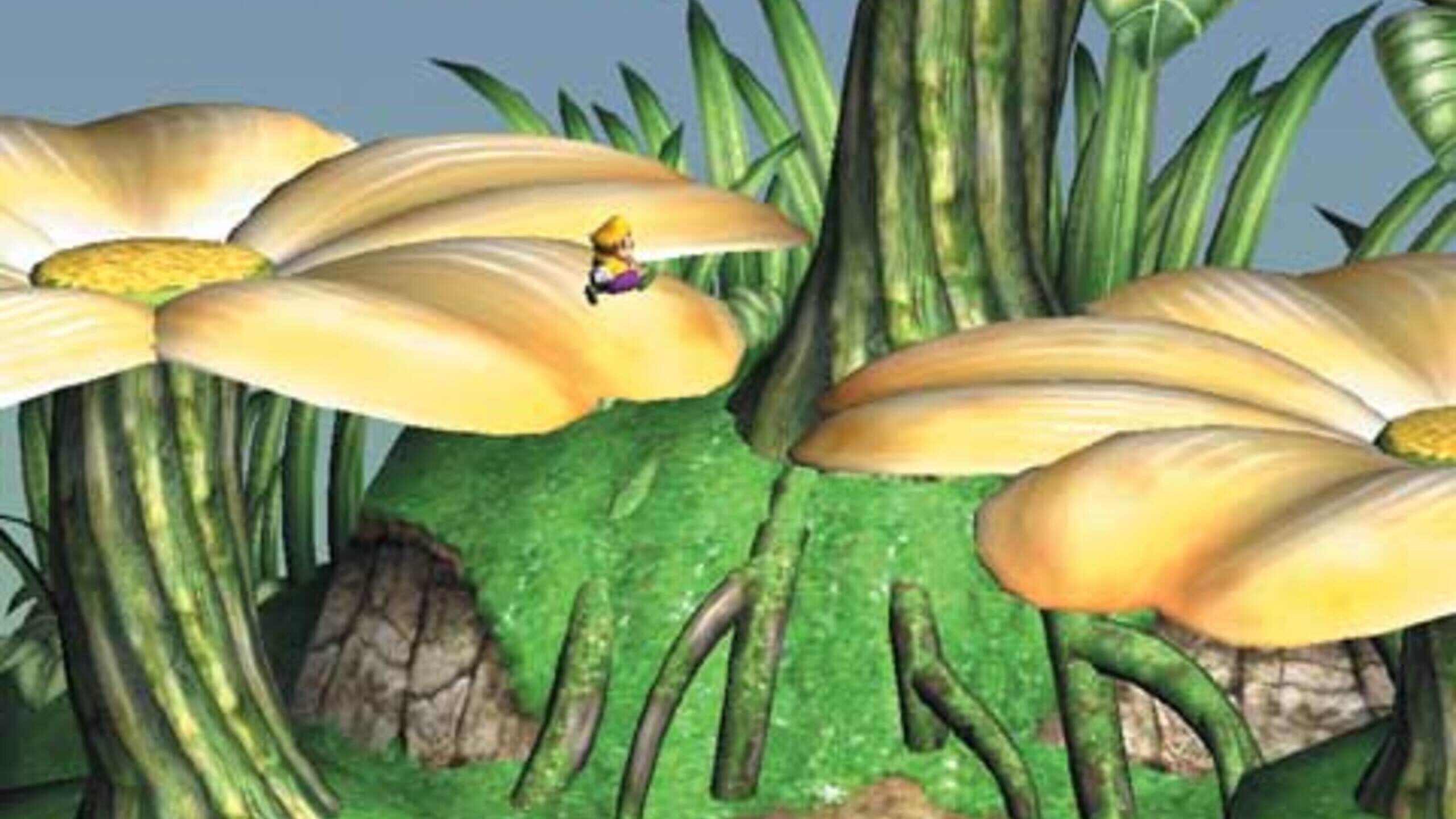 Wario World Server Status Is Wario World Down Right Now? Gamebezz