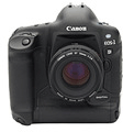 Canon EOS-1D Pictures