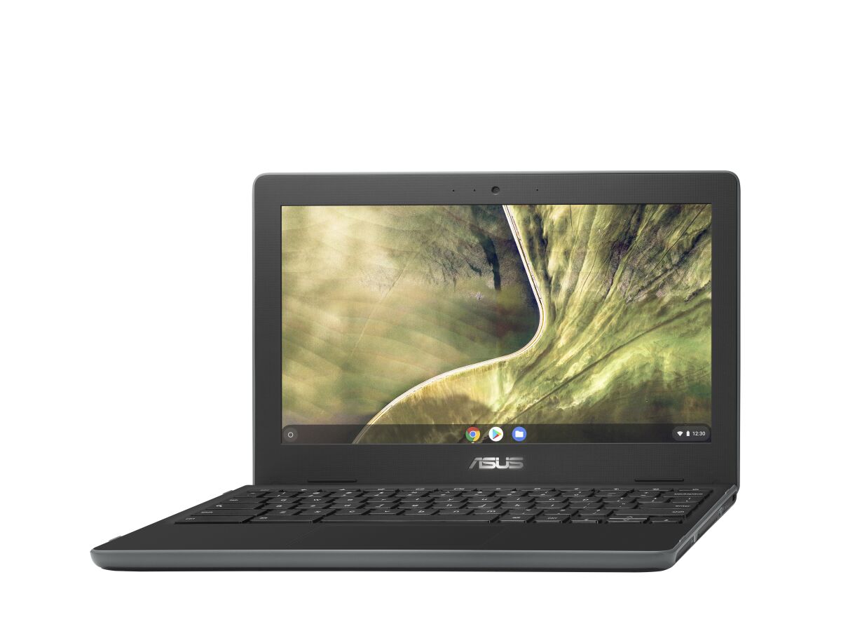 ASUS Chromebook C204MA-BU0250