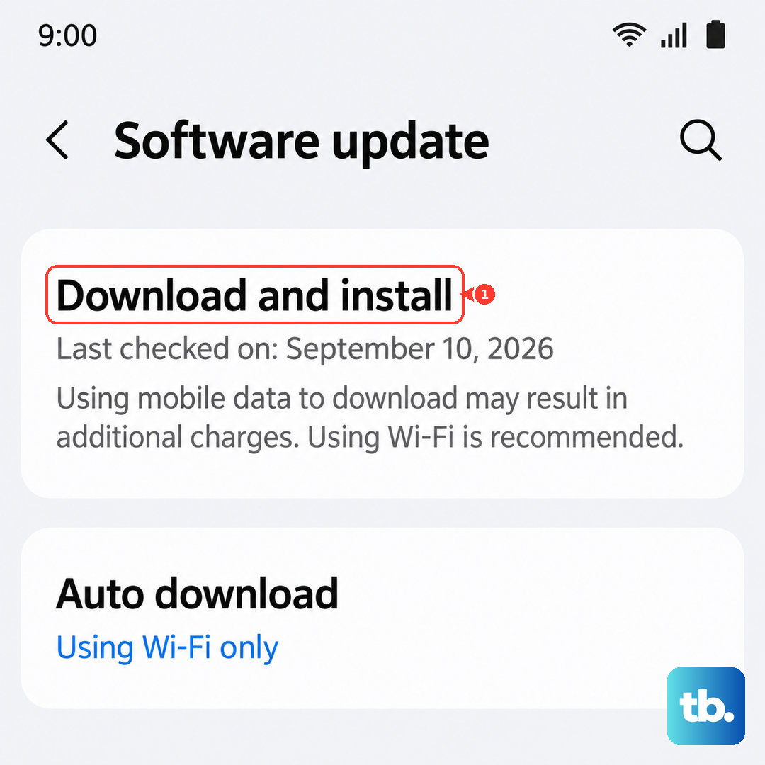 On the Software update screen, tap Download and install (Samsung One UI).
