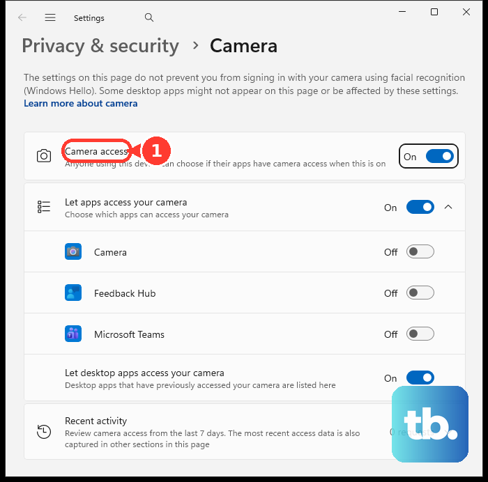 In Privacy & security, open Camera and review Camera access.