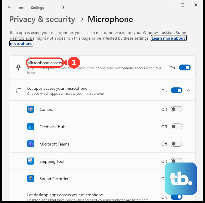 In Privacy & security, open Microphone and review Microphone access.