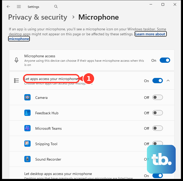 On the Microphone privacy page, use Let apps access your microphone.
