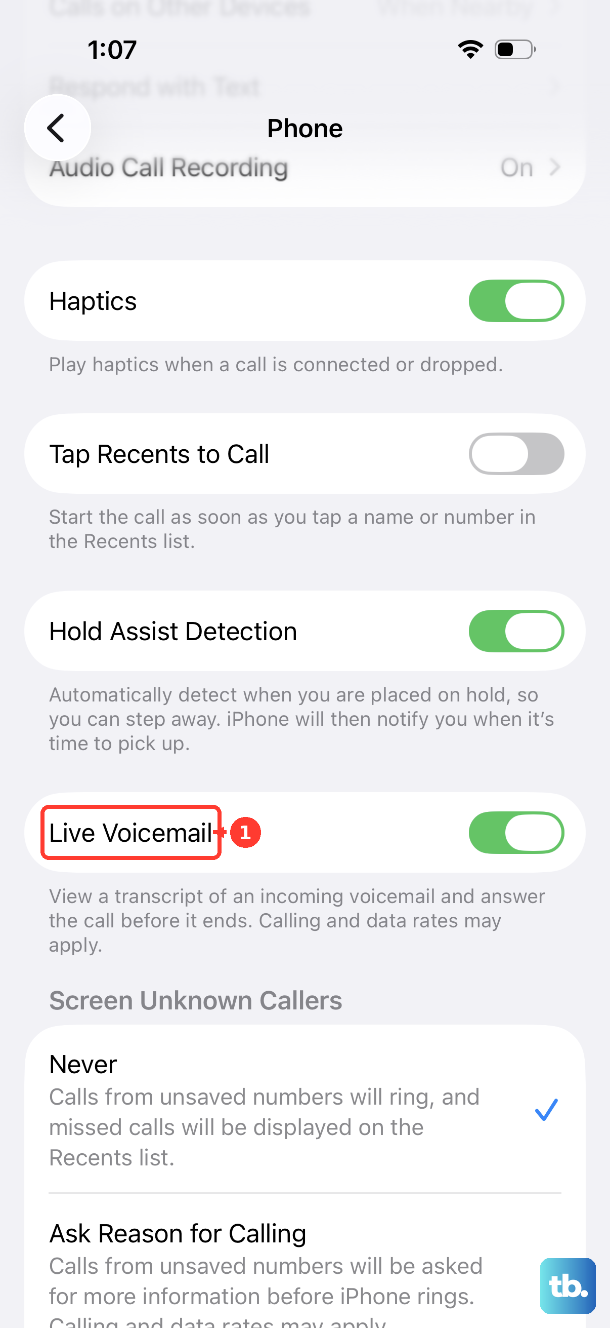 Live Voicemail is a switch on the Phone app settings pane.