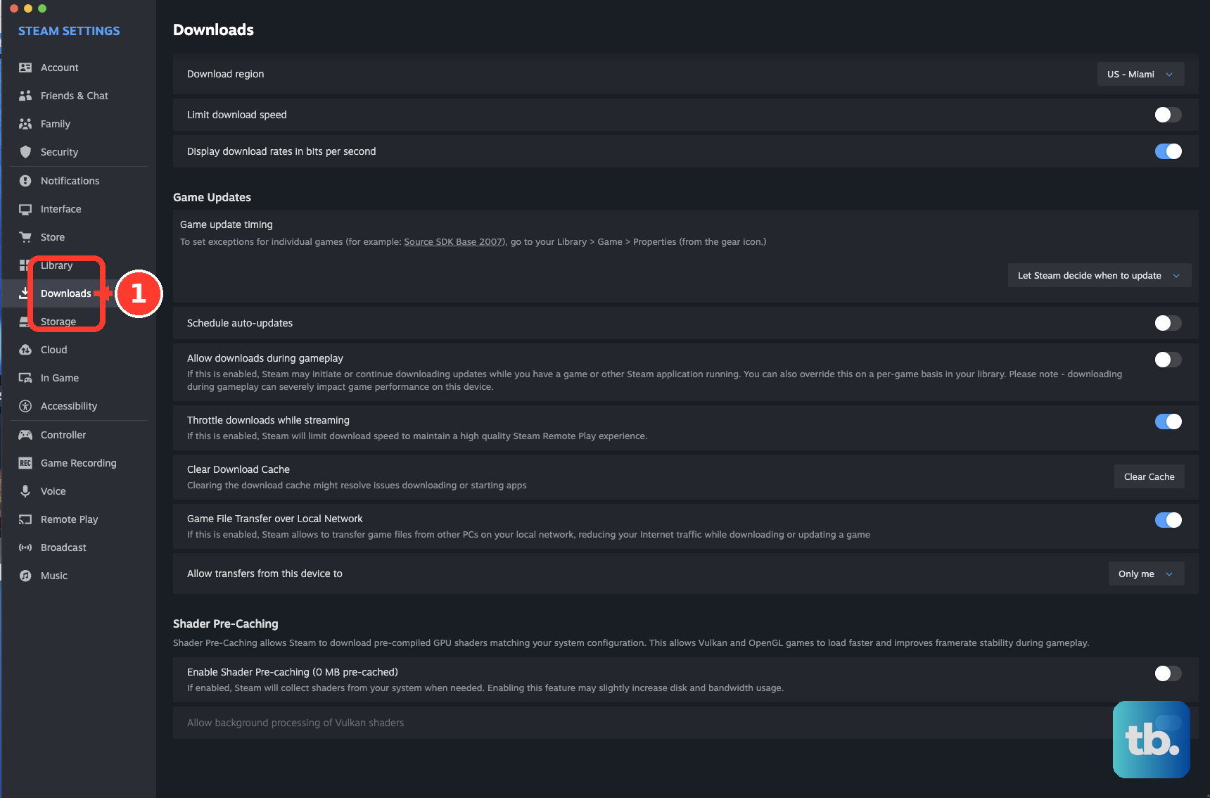 Downloads is the tab in the Steam Settings sidebar.