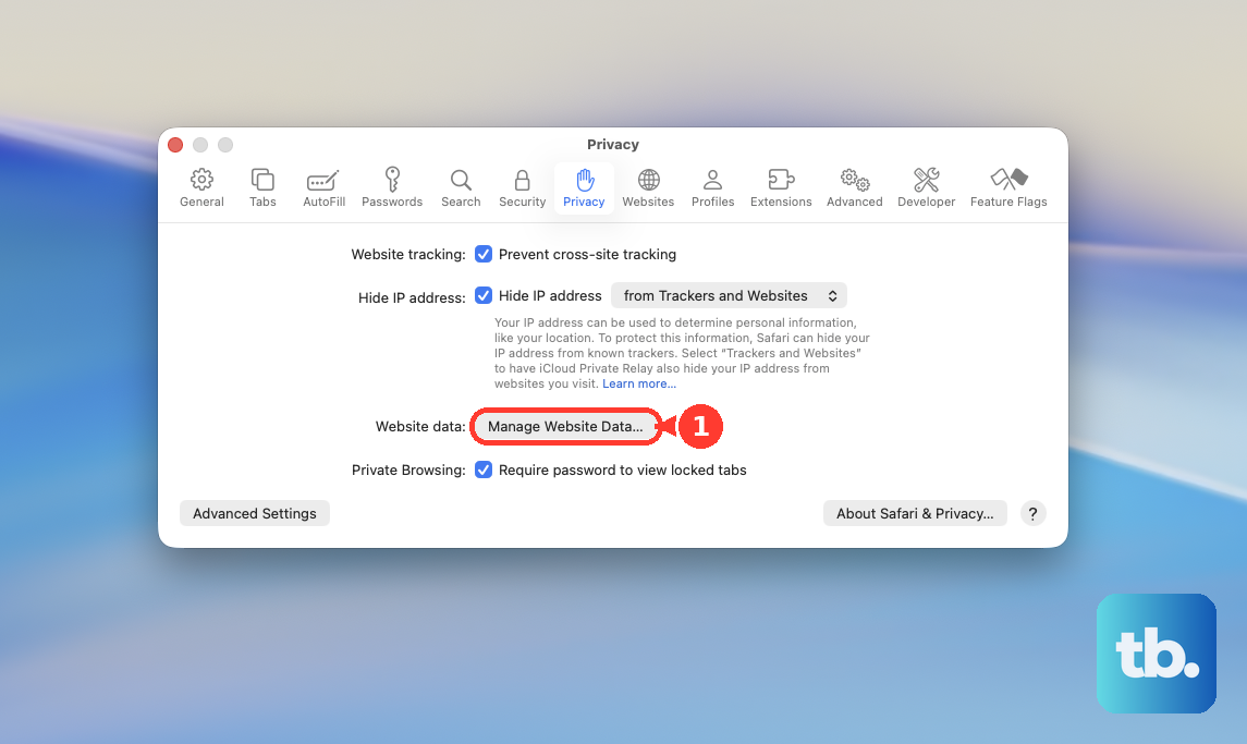 In Safari, choose Safari > Settings, click Privacy, then click Manage Website Data…