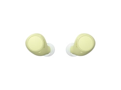 Sony WF-C510 Truly Wireless in-Ear Bluetooth Earbud Headphones