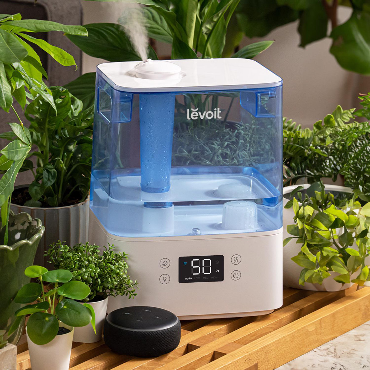 Levoit smart ultrasonic humidifier 